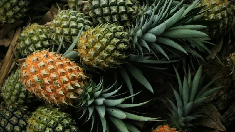 Ananas Kandyzowany 700g Kostka Pyszny Słoik