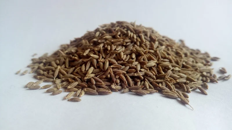 Aromatyczne Przyprawy Kmin Rzymski Kumin Mielony 1Kg