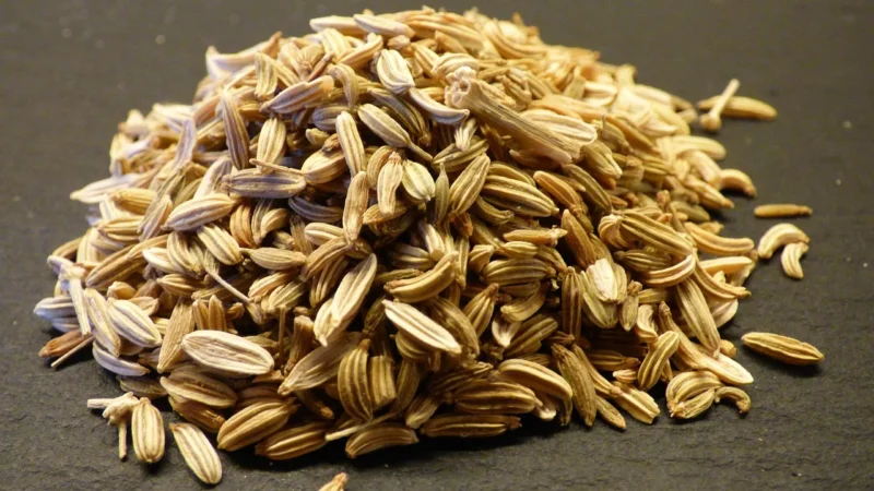 Aromatyczne Przyprawy Koper Włoski 100G