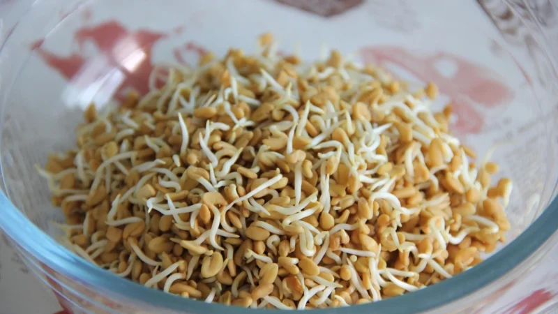 Aromatyczne Przyprawy Kozieradka Ziarno 1Kg