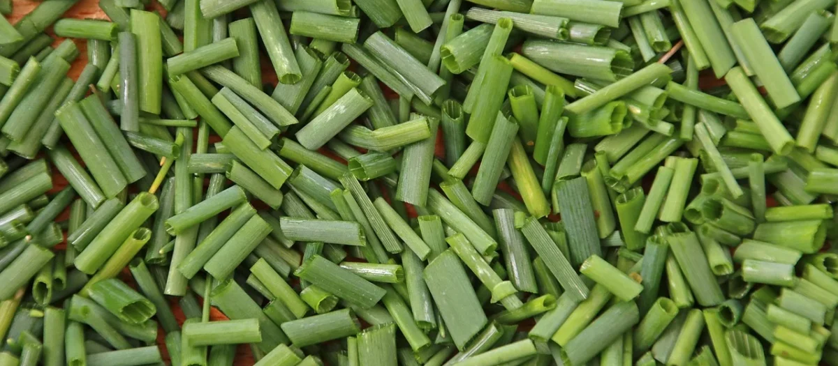 Aromatyczne Przyprawy Szczypior Susz 1Kg