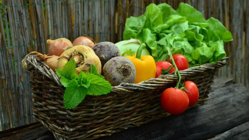 Assortimento in latta mieszanka ciastek w puszce 240g