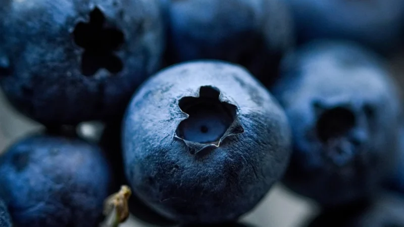 B2B Stewiarnia Batonik Żurawina-Borówka Fruit Mood 20g