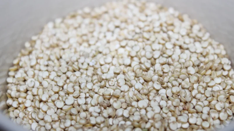 Batom Ekologiczna Komosa Ryżowa Biała Quinoa Bio 1kg