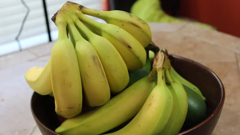 Batom Mąka Bananowa Bio 500G