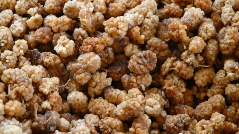 Bazar Zdrowia Morwa Biała Suszona 1Kg Dla Cukrzyków Całe Owoce