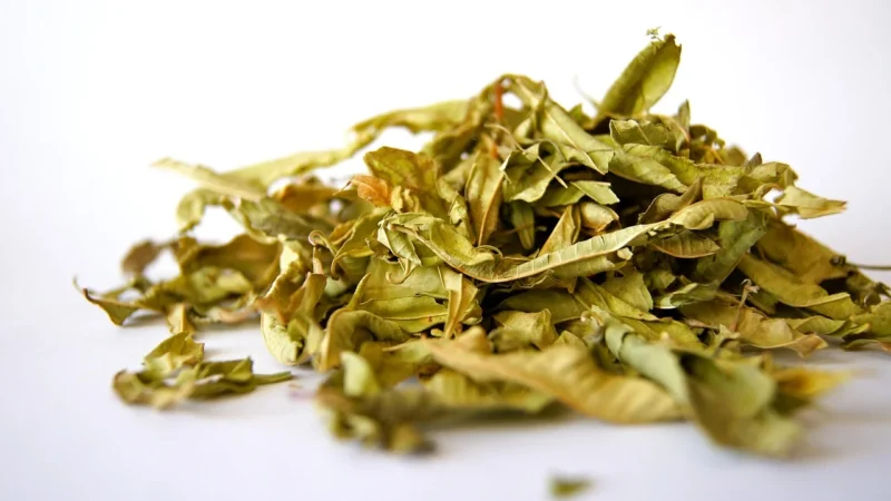 Bazylia Suszona drobna aromatyczna 0,25kg