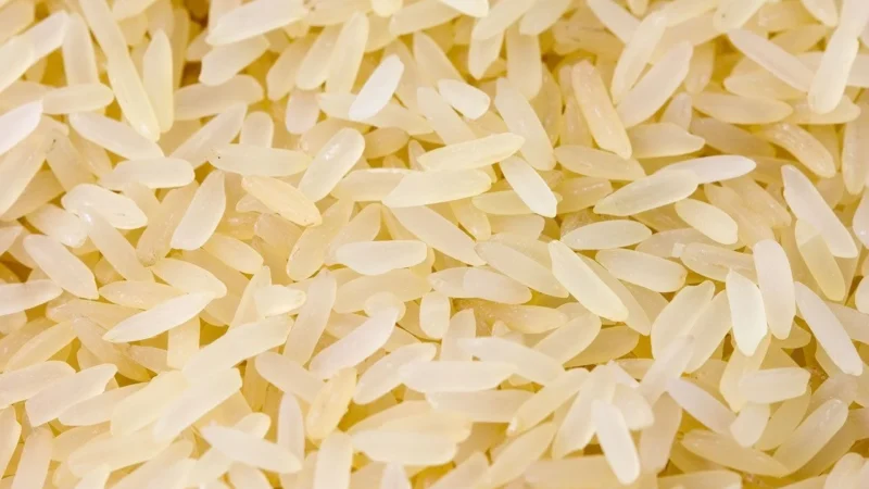 Biały Ryż Basmati Falak 1KG