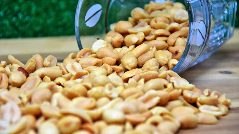 Bio Planet Pistacje Prażone I Solone Bio 300g