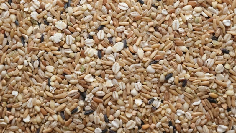 Bio Planet Ryż Czarny Pełnoziarnisty Bio Uprawa W Europie 400G