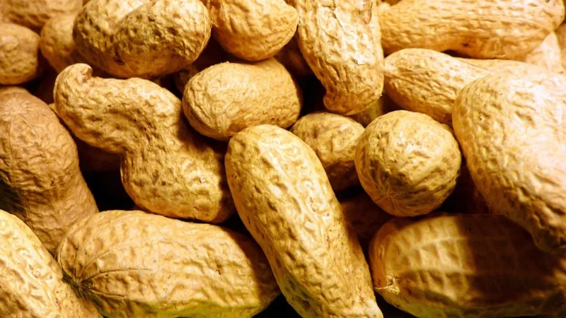 Bio Planet Seria Przekąski Lumarko Orzeszki Ziemne Prażone Bez Soli 150g