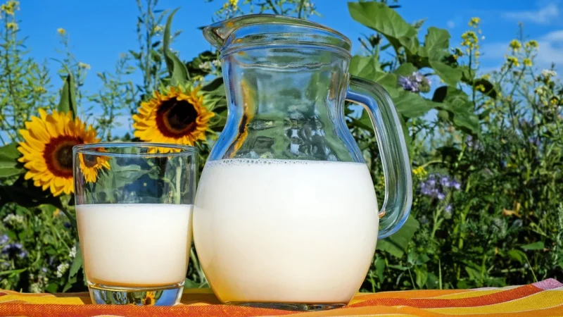 Biogol Białko Słonecznikowe W Proszku 150g Bio