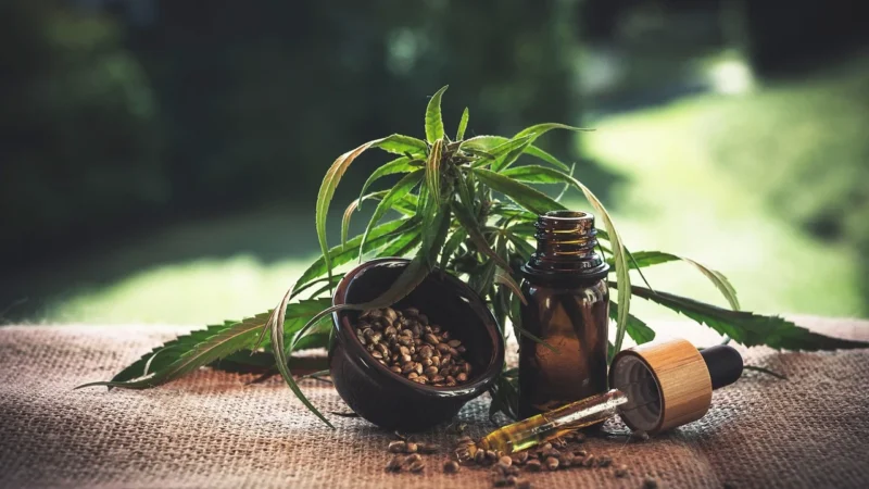 Biooil Olej Z Nasion Brokuła Kosmetyczny Bio Cera Sucha I Dojrzała 20ml