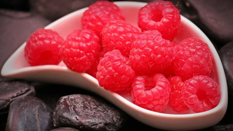 Bitgits Malina liofilizowana 25g