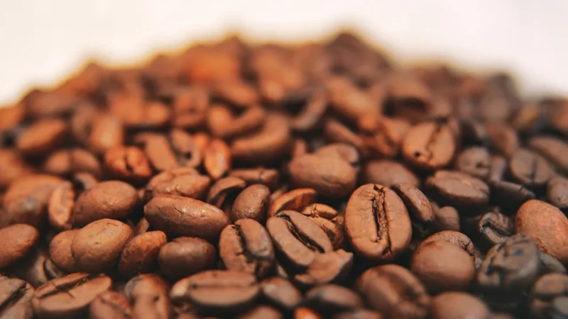 Blue Orca Coffee Kawa Brazylia Świeżo Palona 100% Arabika 2kg