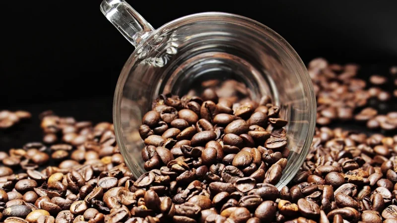 Blue Orca Coffee Kawa Do Ekspresu Świeżo Palona Arabika 100% 2kg
