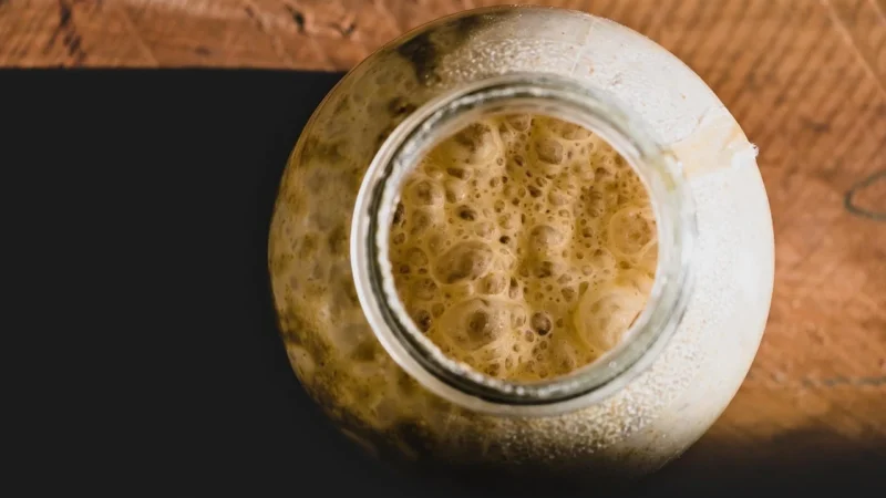 Bogutyn Młyn Żywy Zakwas Żytni Chlebowy Naturalny 250g
