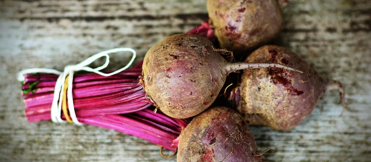 Buraczki Tarte Gotowane Na Parze Bezglutenowe Bio 720g Farma Świętokrzyska
