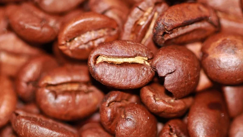 Cellini Esspresso Bar Gran Aroma 80% Arabika I 20% Robusta 1kg