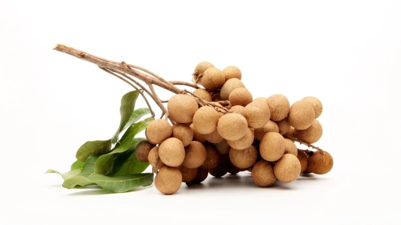 Chaokoh Longan W Syropie 565g