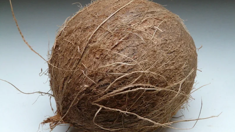 Chipsy kokosowe 500g Płatki Kokosowe 0,5kg Ps