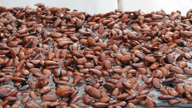 Cocofarm Orzechy Ziemne Prażone 500g