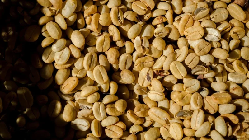 Coffee Promotion Kawy Świata Ziarnista Czekolada I Pomarańcza 1kg