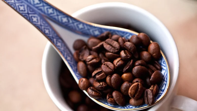 Coffeelab Kawa Ziarnista Coffee Lab Etiopia Laayyoo 250g