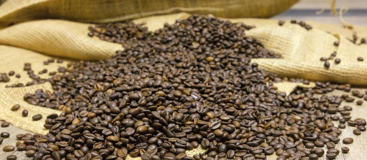 Coffeelab Kawa Ziarnista Coffee Lab Etiopia Salomon 250g