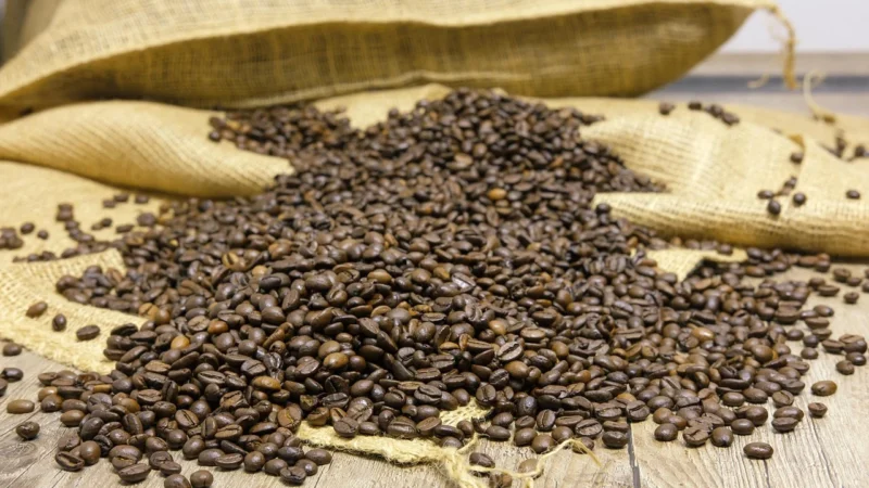 Coffeelab Kawa Ziarnista Coffee Lab Etiopia Salomon 250g
