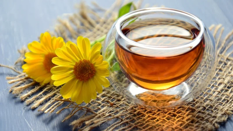 Cosmoveda Ayus Rasayana – Pitta Balance BIO 80kaps.