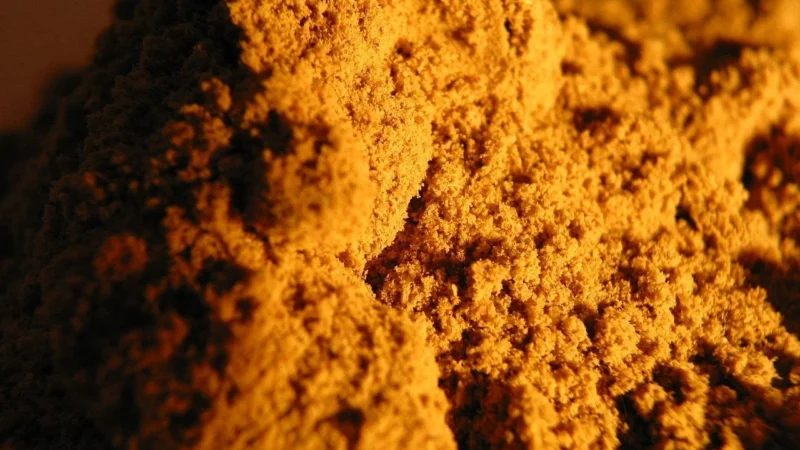Cosmoveda Bio Masoor Dal Masala 25G