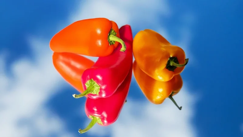 Cosmoveda Organiczna Czerwona Papryka Mielona 10g