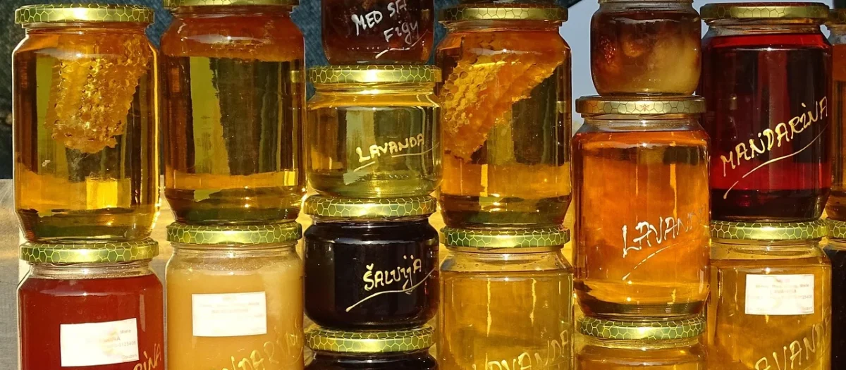 De Traay Miód Nektarowy Wielokwiatowy 900g Bio