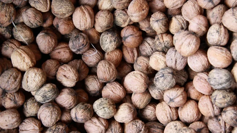 Delibakalie Orzechy Włoskie Łuskane 500G