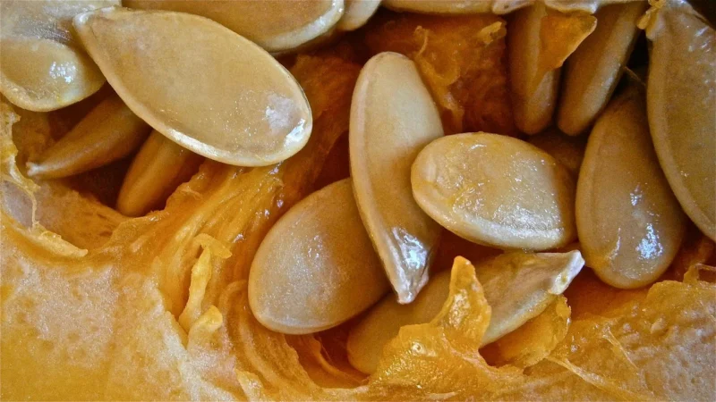 Delibakalie Pestka Dyni Gws 250G