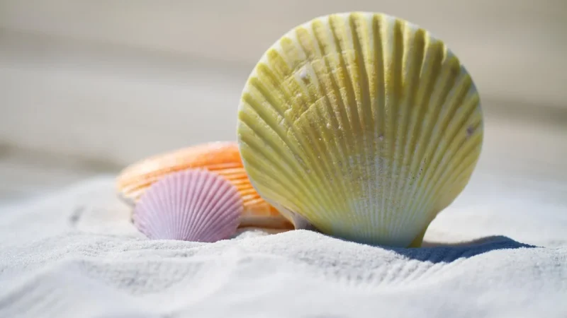 Delibakalie Pestki Dyni W Łupinie 0,25kg
