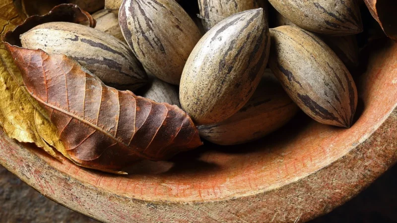 Dobry Orzech Pecan Orzechy Pekan 500g , Pyszne
