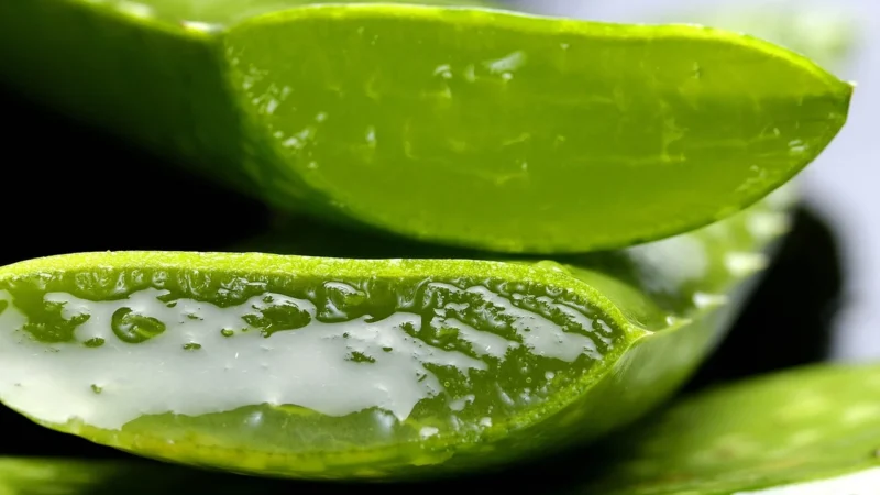 Ekamedica Aloes Sok Z Aloesu 1000Ml