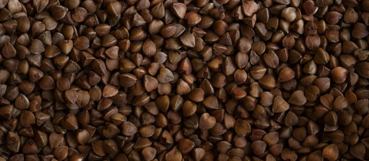 Ekowital – Kasza Gryczana Niepalona Bio 1Kg