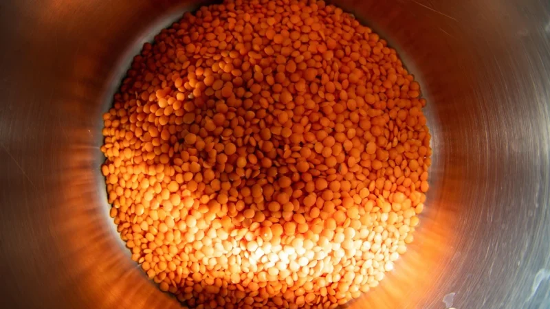 Essa Soczewica Czerwona 500g
