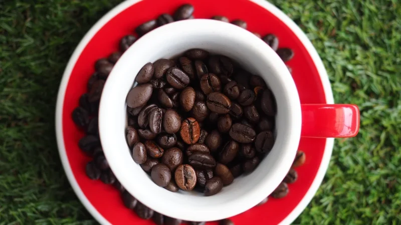 Etno Cafe Kawa Ziarnista Brazylia Yellow Bourbon 250G