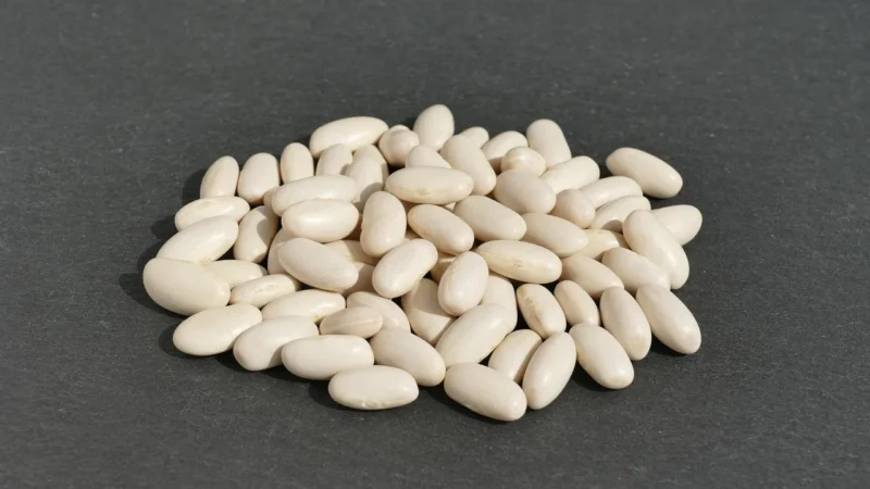 Fasola biała Cannellini