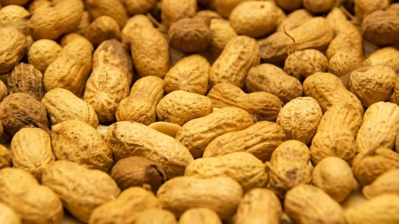 Fruut Chipsy Jabłko Z Orzeszkami Ziemnymi Bez Cukru 40 g