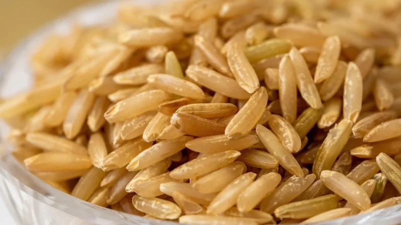 Gallo Riso Blond Integrale Veloce Ryż Brązowy 500g