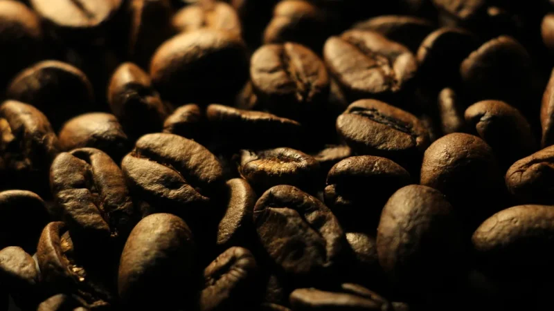 Green Touch Kawa Smakowa Waniliowo Orzechowa Arabica 100g