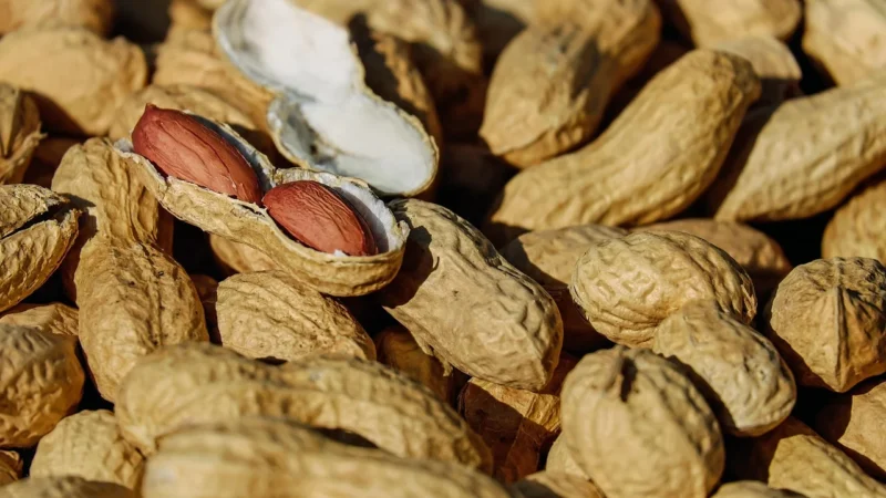 Grizly Krem Orzechowy, Chrupiący 100% 500G