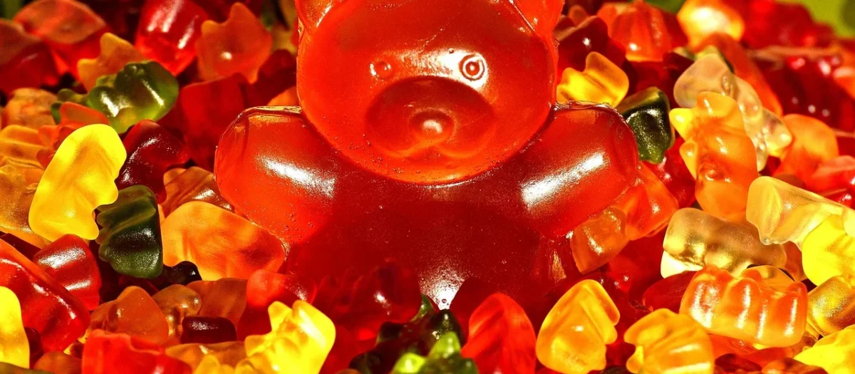 Haribo Żelki Owocowe Złote Misie 1 Kg