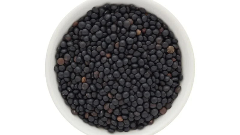 HORECA – SOCZEWICA CZARNA BELUGA BIO 5kg