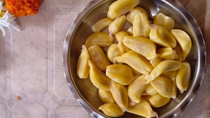 Jackfruit chipsy, chlebowiec przekąska 100g